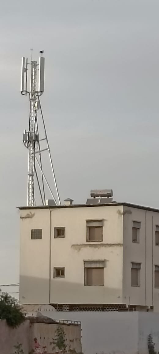 نائب بلقشور